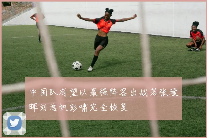 中国队有望以最强阵容出战若张瑷晖刘浩帆彭啸完全恢复